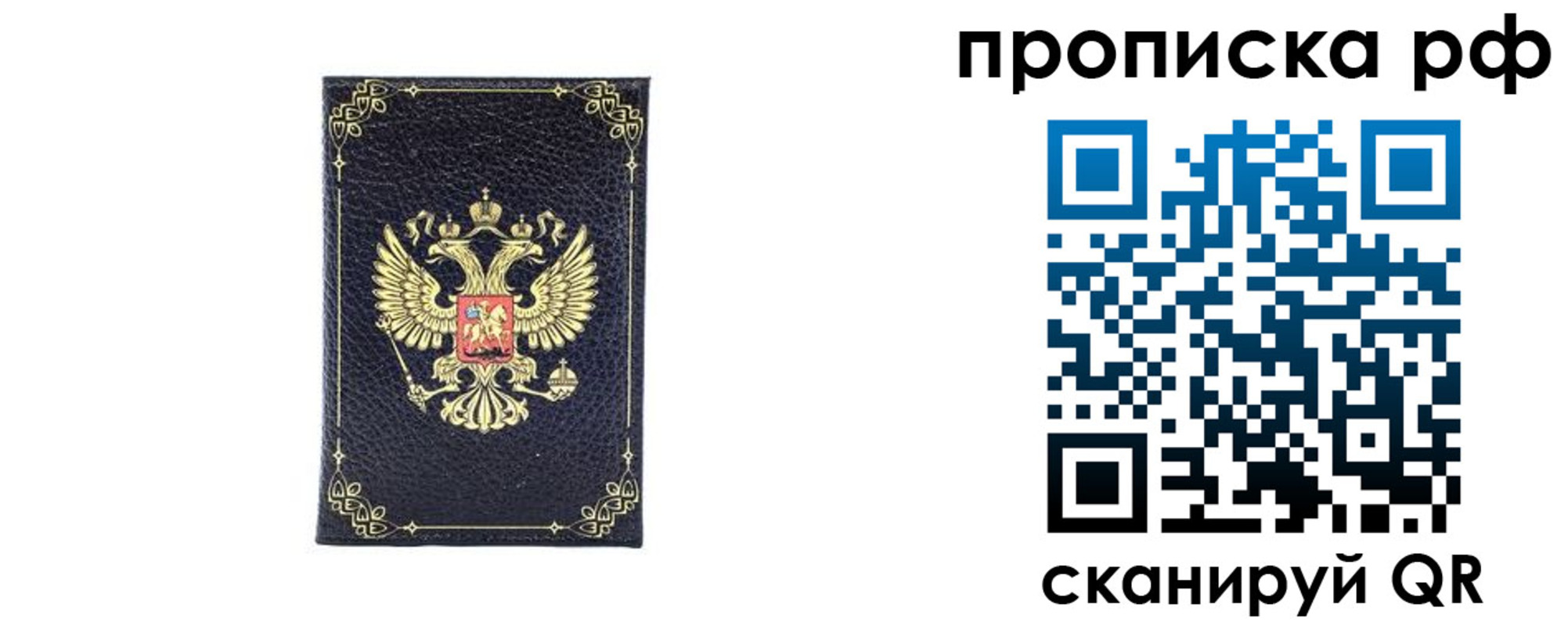 прописка для школы в Тосно